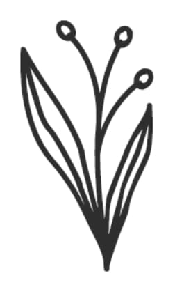 Botanical Motif